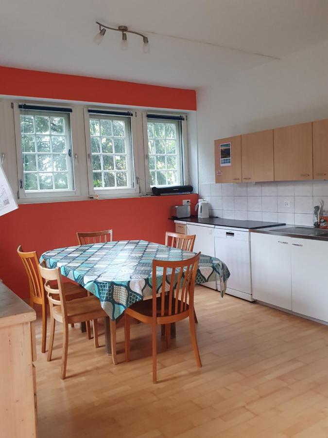 Zentral Gelegene Wohnung Mit Grossem Garten Интерлакен Экстерьер фото