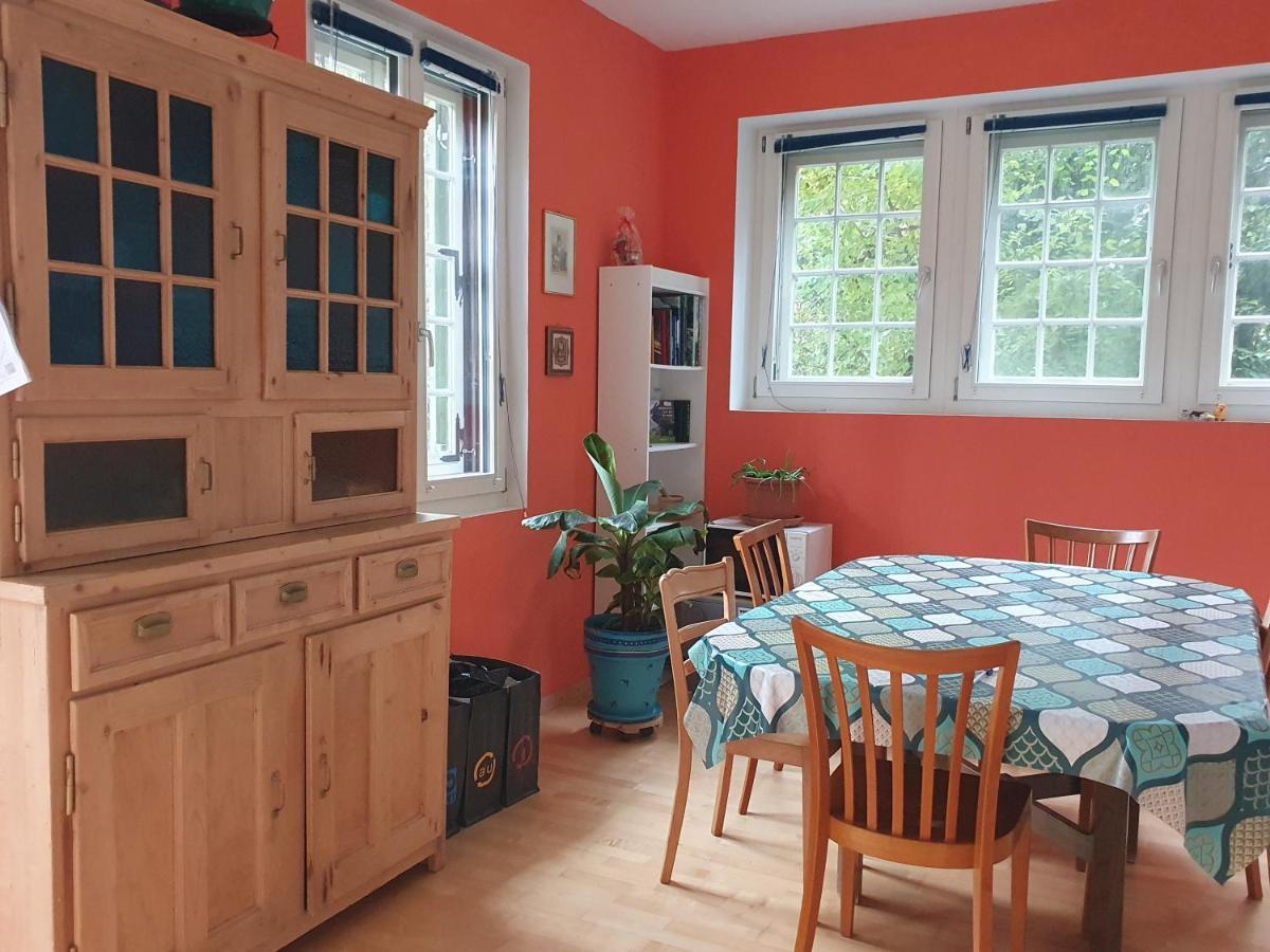 Zentral Gelegene Wohnung Mit Grossem Garten Интерлакен Экстерьер фото